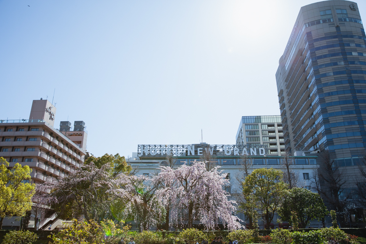 お散歩ムービー 山下公園